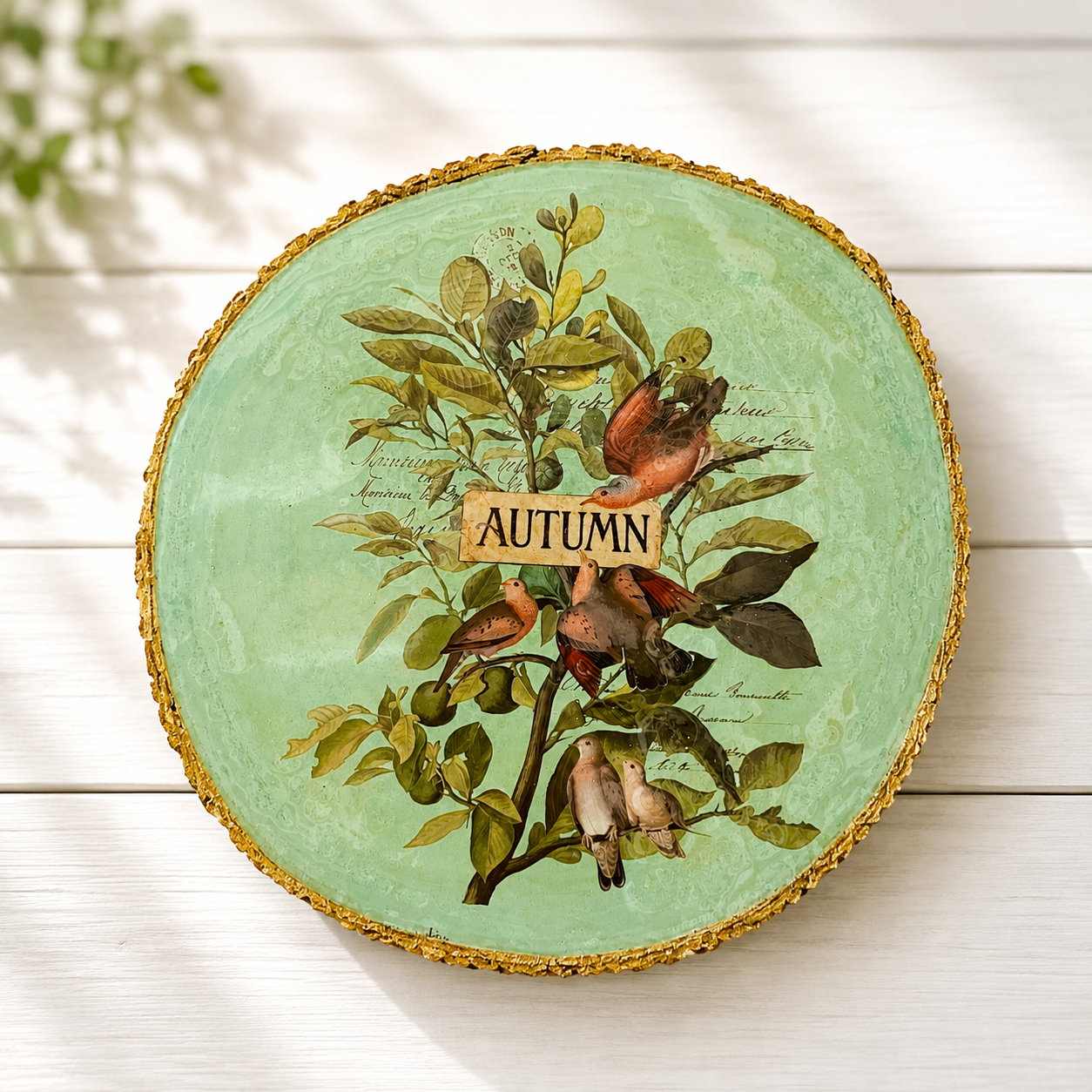 2 decorative 12 inch wood slices ( as is)