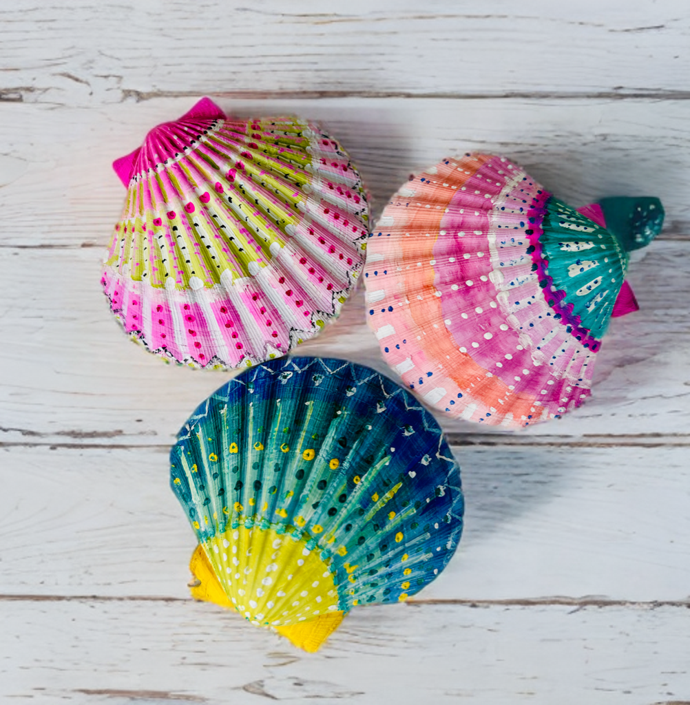 scallop shells