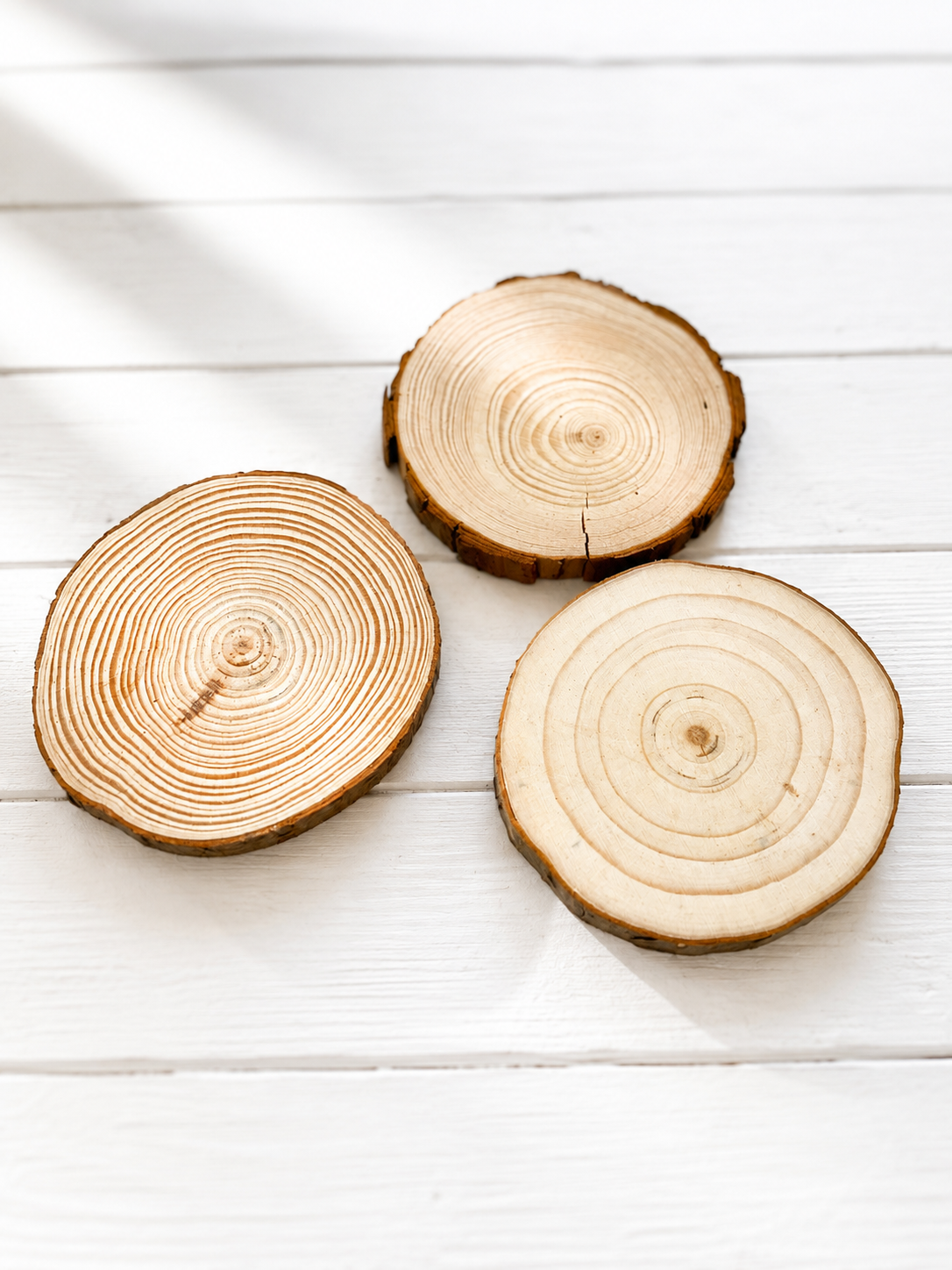 set of 3 Round Slice of wood
