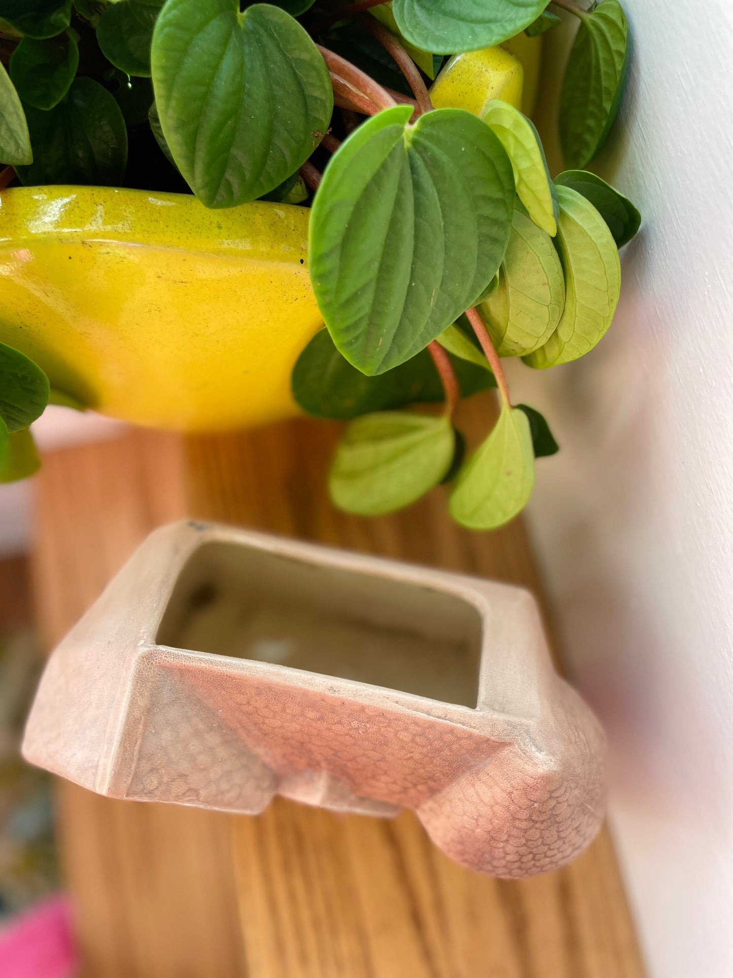 French Tudor Plant Holder