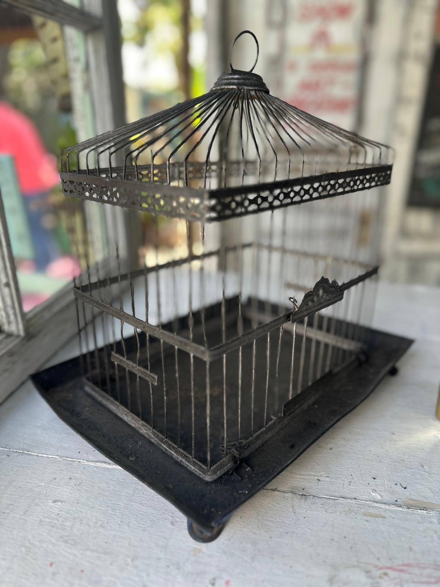thrift store bird cage