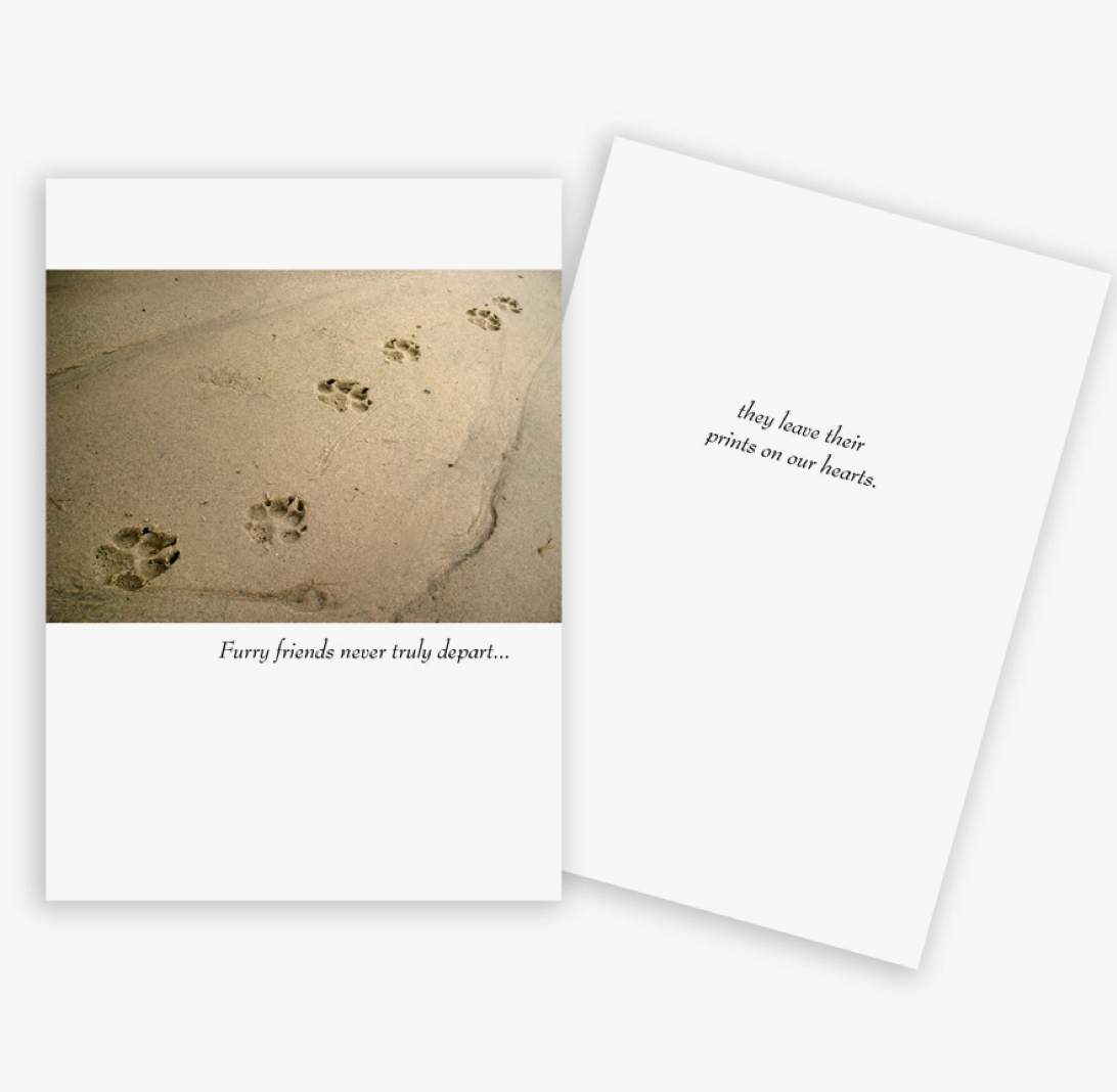 Greeting Cards coastal Theme