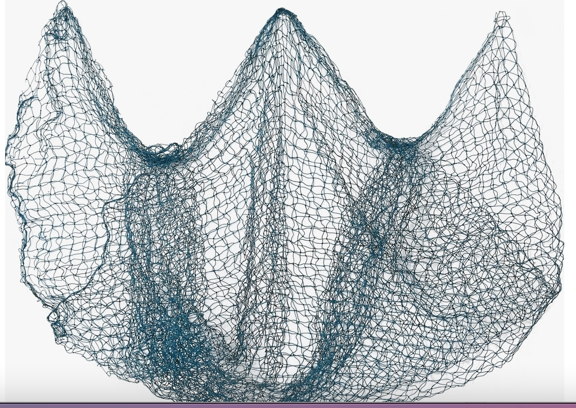 Natural Trawler Net And Shell