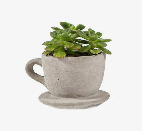 ceramic tea cup and saucer planter tea or coffee cup planter – DIY À GOGO