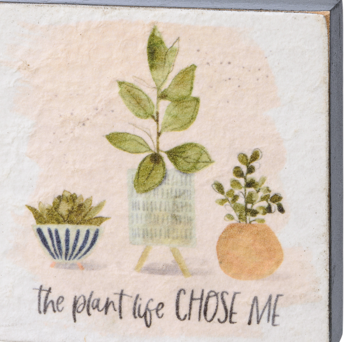 Plant Life Box signs