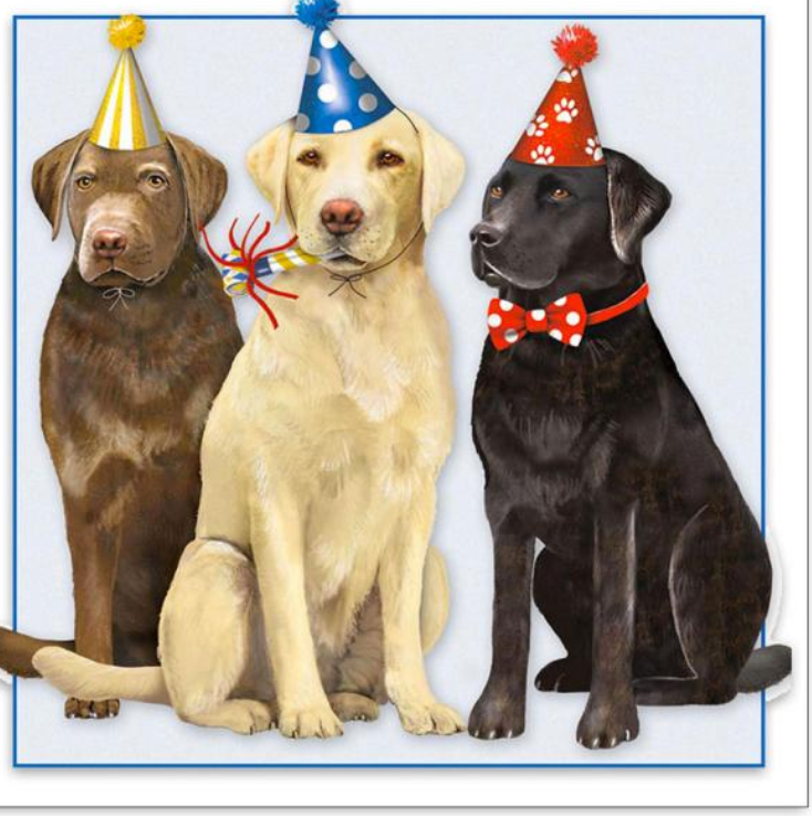 Greeting Cards - Assortment