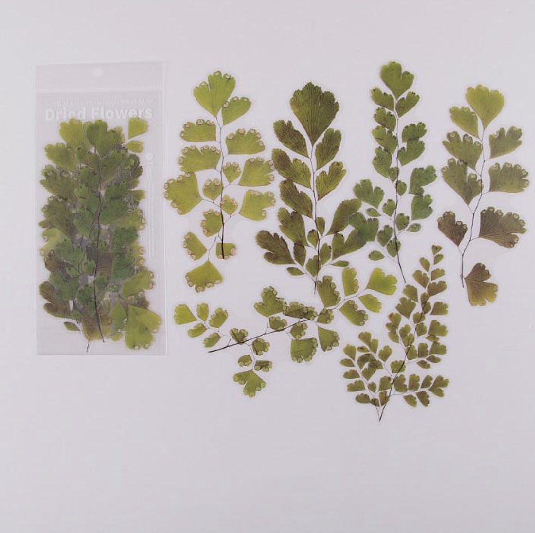 Flower and Plant Stickers