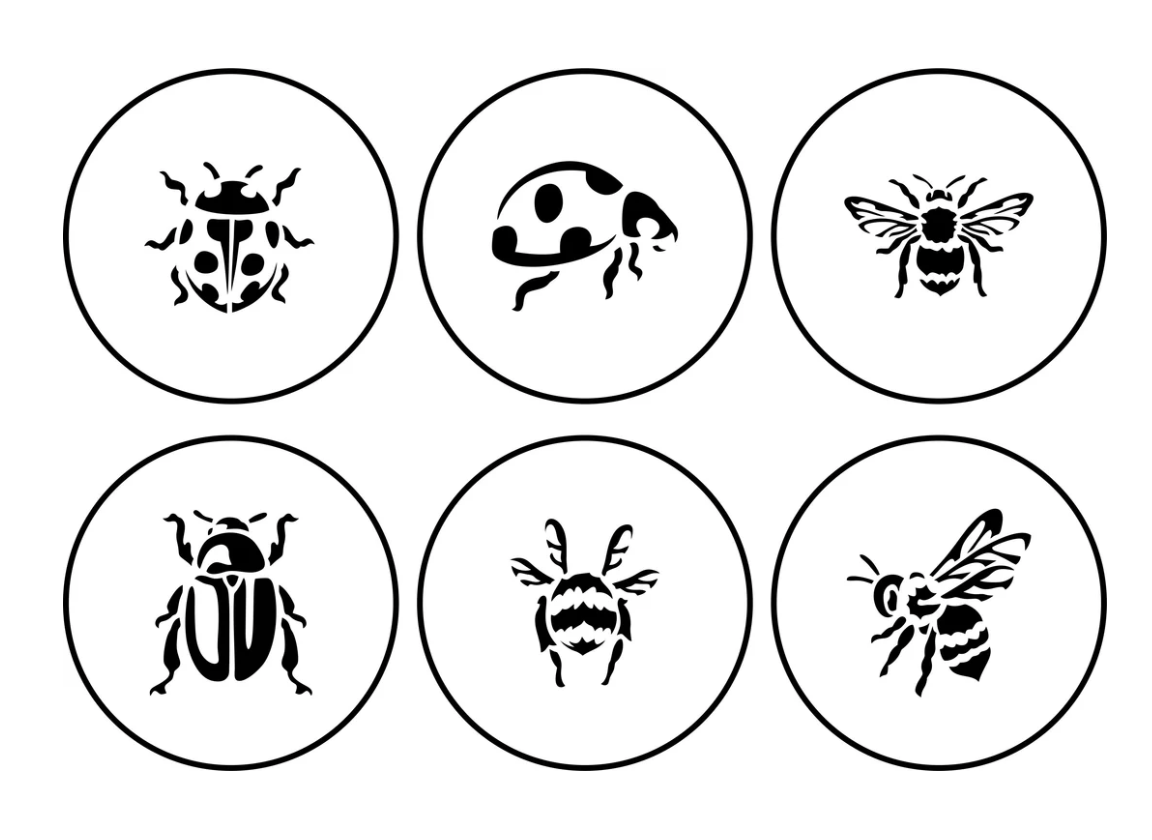 Insect Stencil Pack