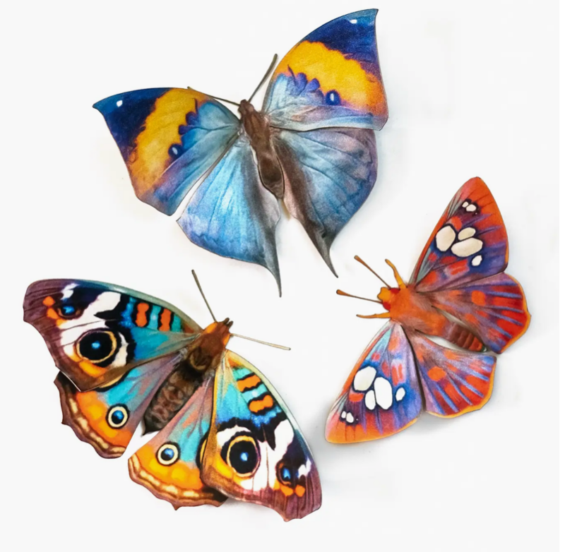Moth and Myth Cut-Outs