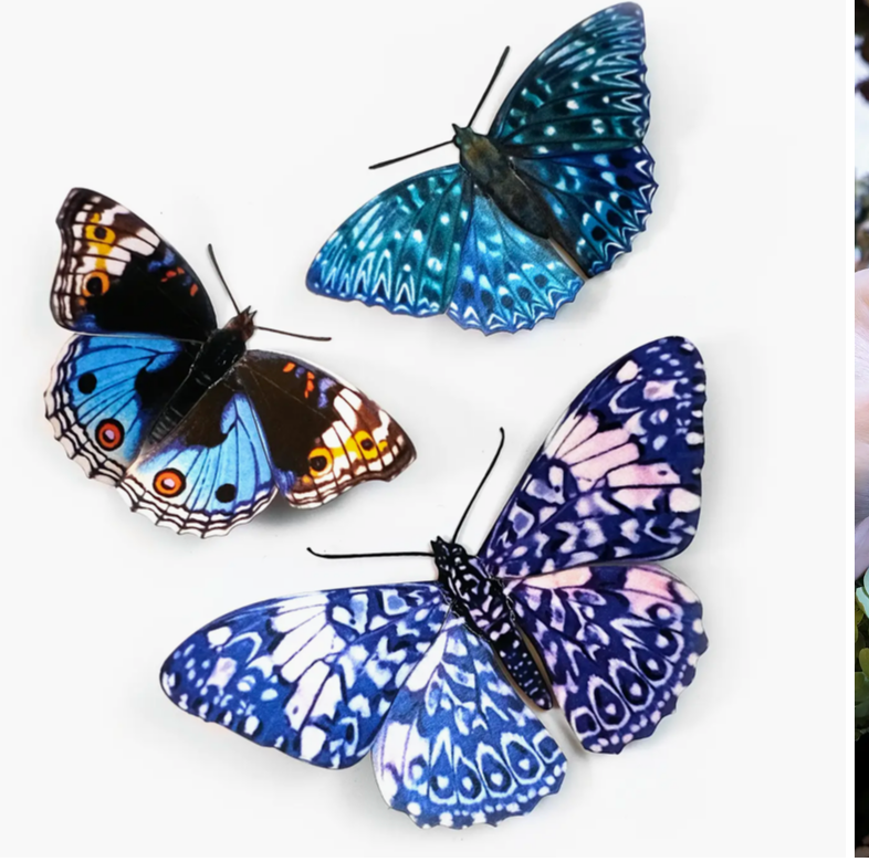 Moth and Myth Cut-Outs