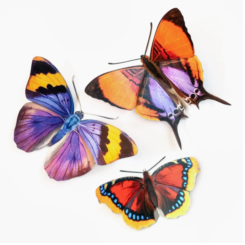 Moth and Myth Cut-Outs