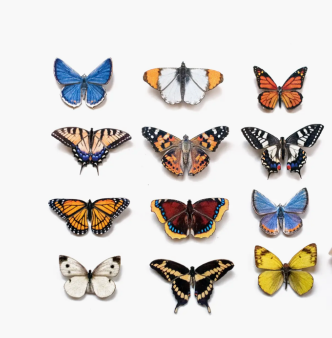 Moth and Myth Cut-Outs