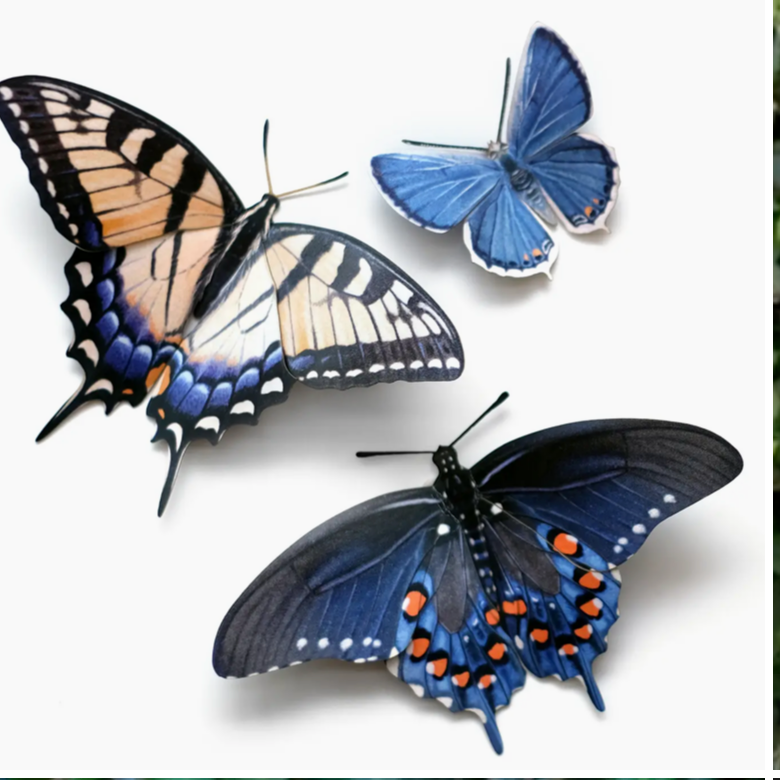Moth and Myth Cut-Outs