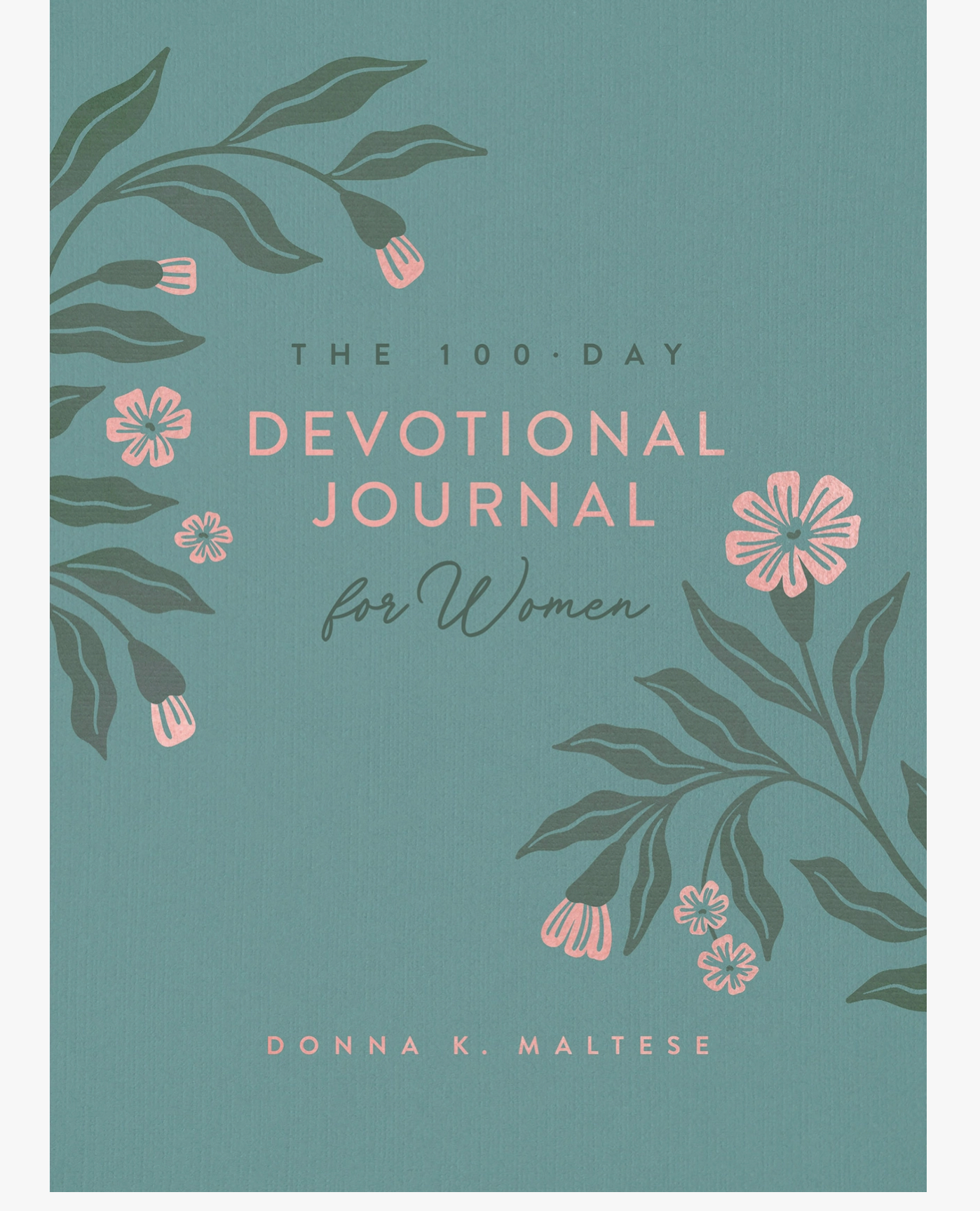 100 Day Devotional Journal