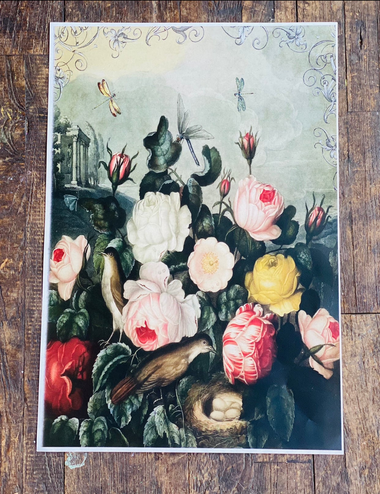 Art Paper-so many to choose from!