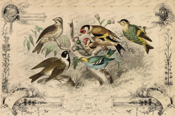 JRV Decoupage Paper click for different styles