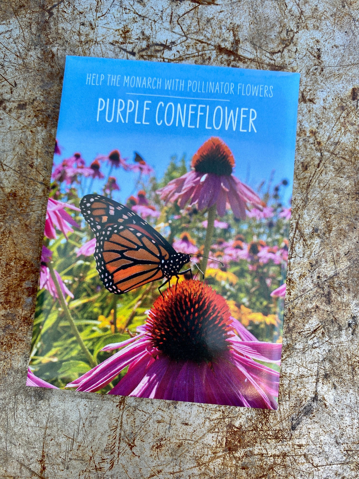 Seed Packs