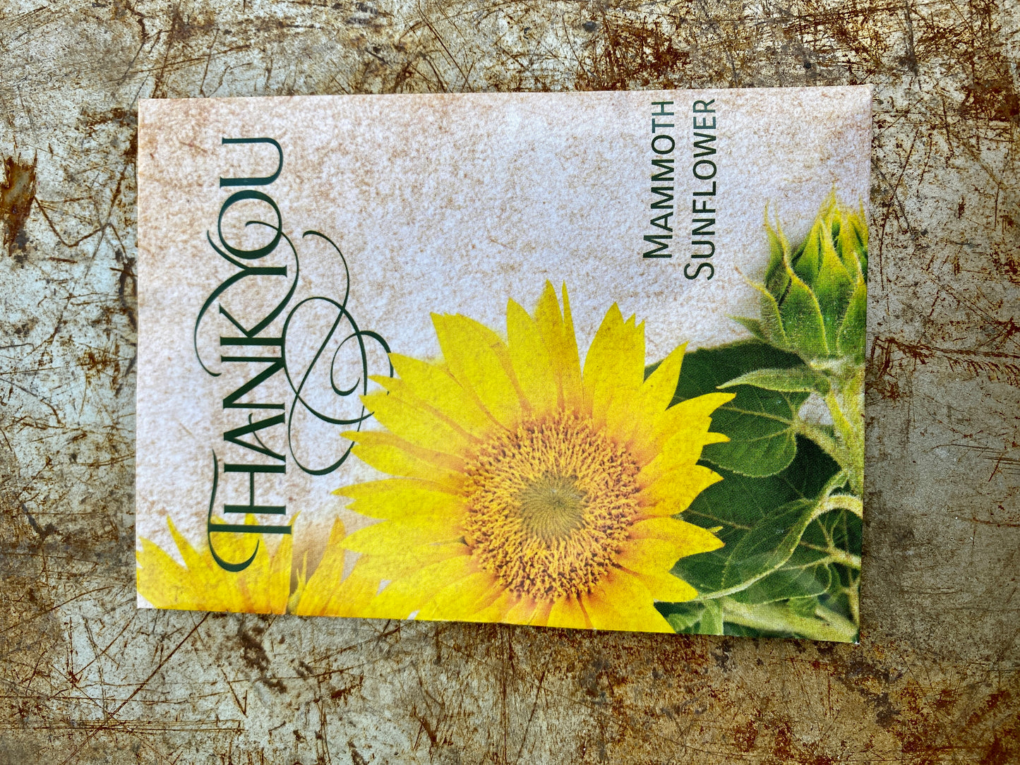 Seed Packs