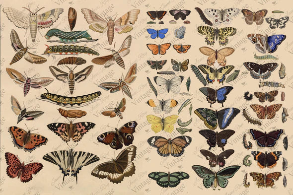 JRV Decoupage Paper click for different styles