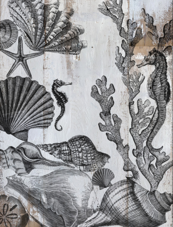 Sea Shells Stamp