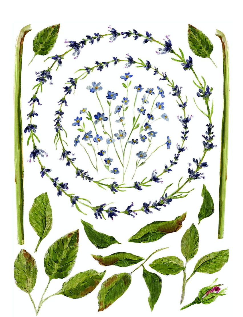 Painterly Floral Transfer - New Format!