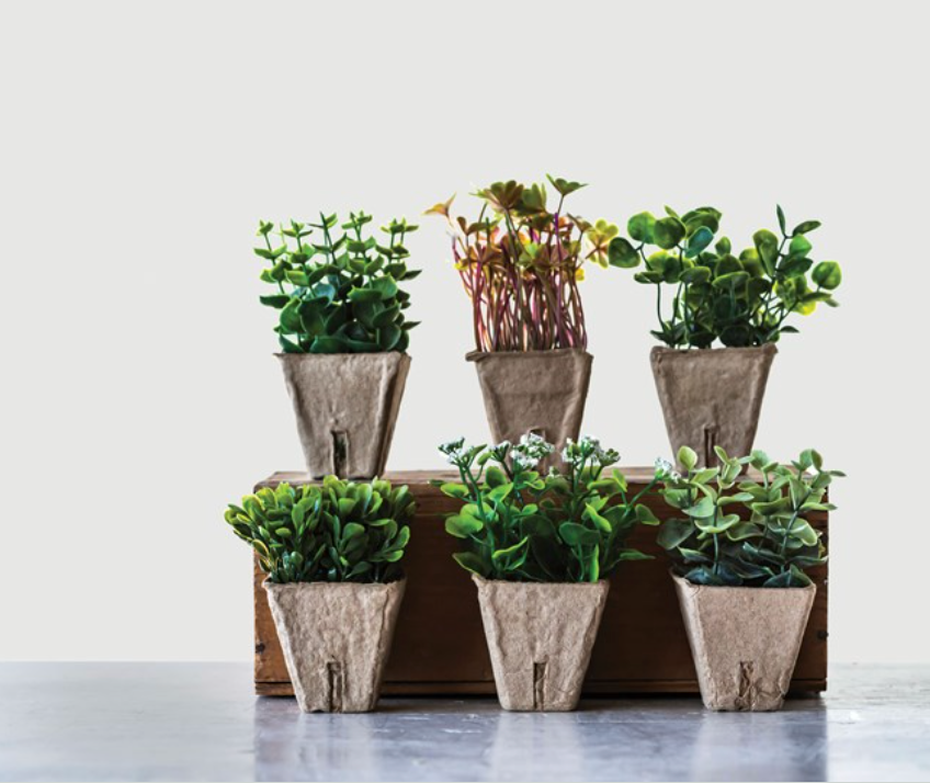 Sweet little ( no maintenance) potted plant