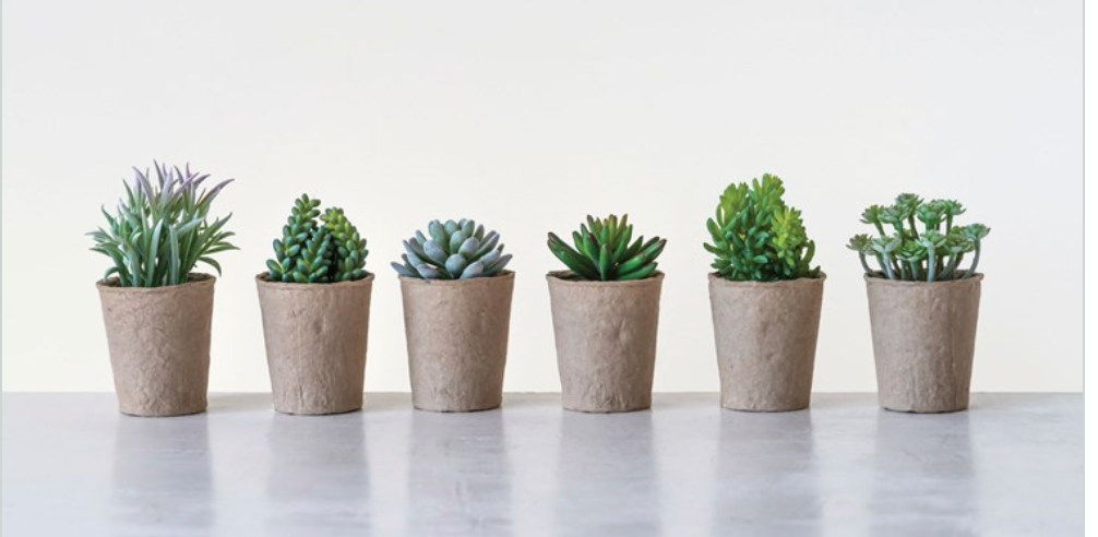 faux small succulents Faux potted succulent ( no maintenance ) – DIY À GOGO