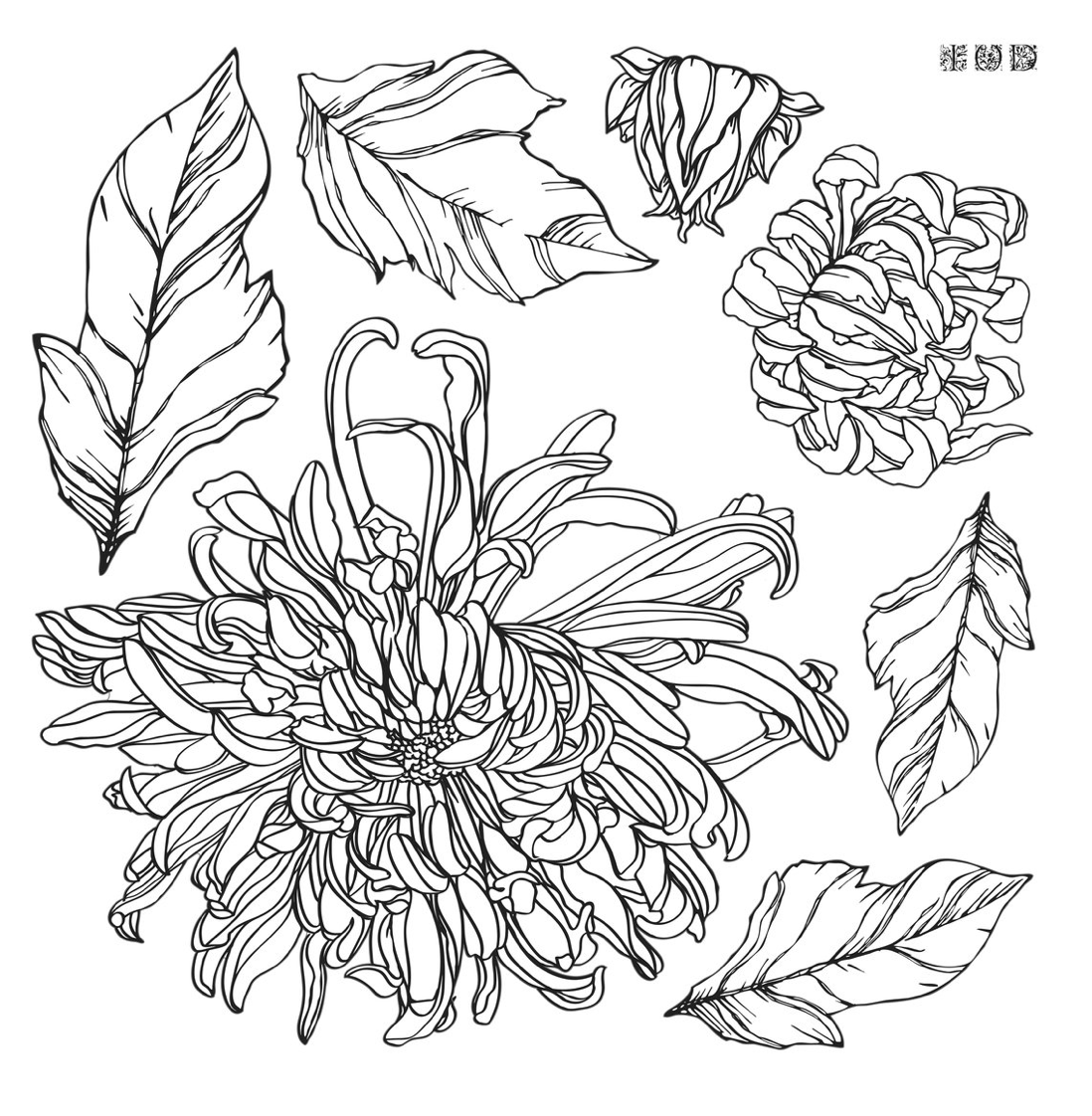 Chrysanthemum / Stamp /IOD