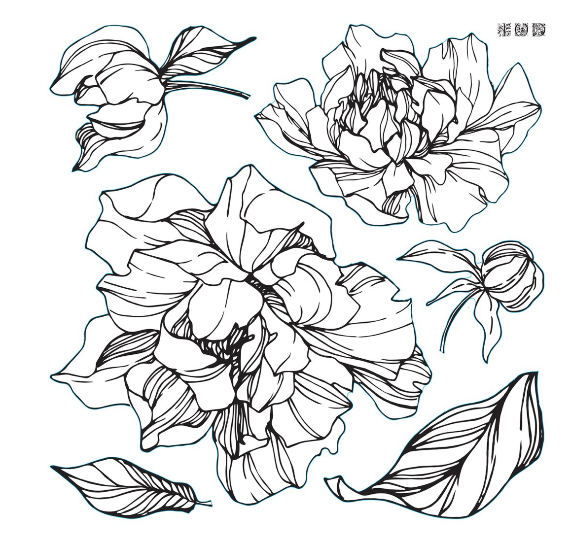 Peonies / Stamp / IOD