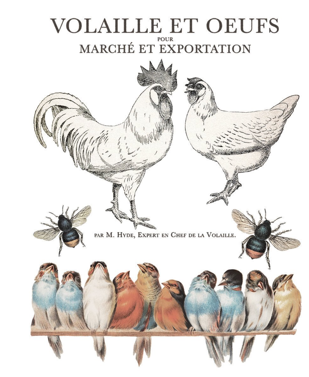 NEW ! IOD Brocante TRANSFER 8 pages!