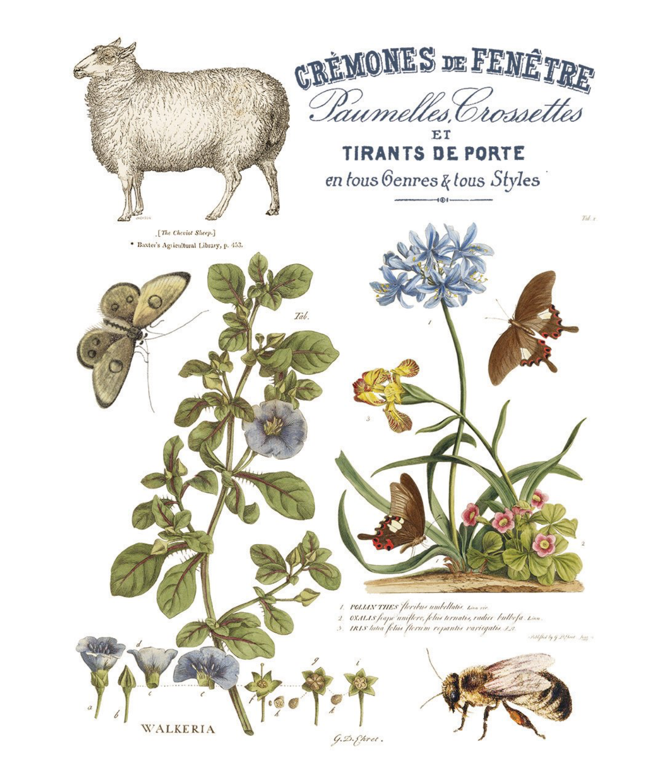 NEW ! IOD Brocante TRANSFER 8 pages!