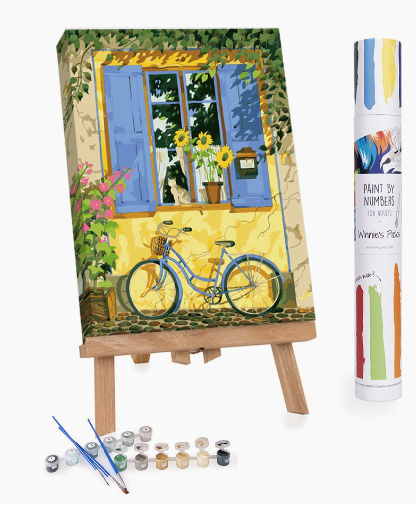 DIY Paint by Numbers Kit!
