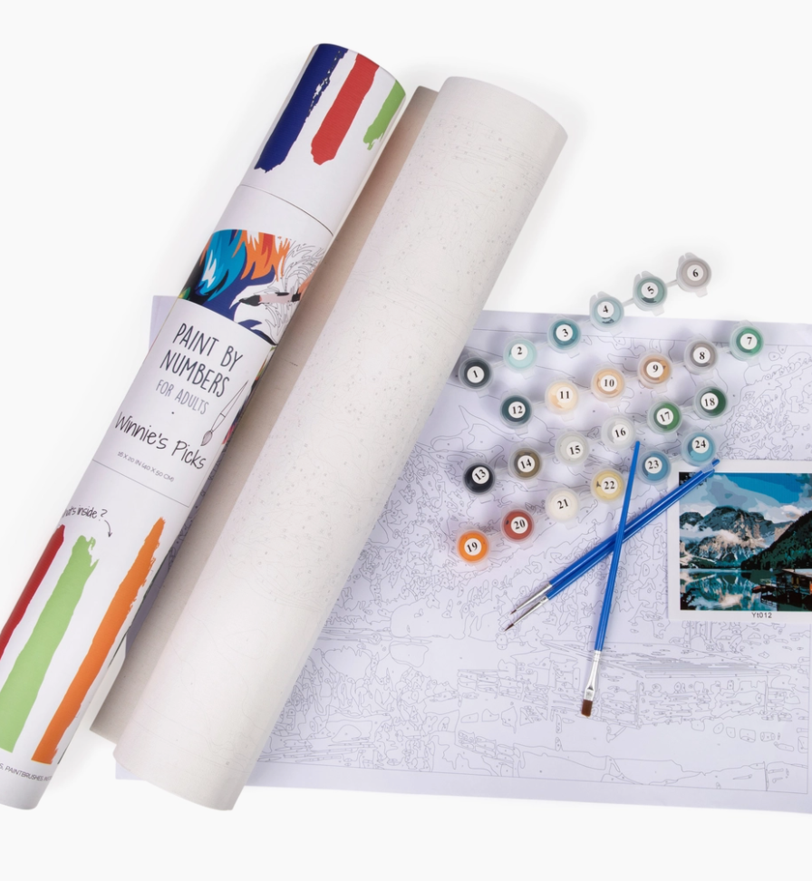 DIY Paint by Numbers Kit!