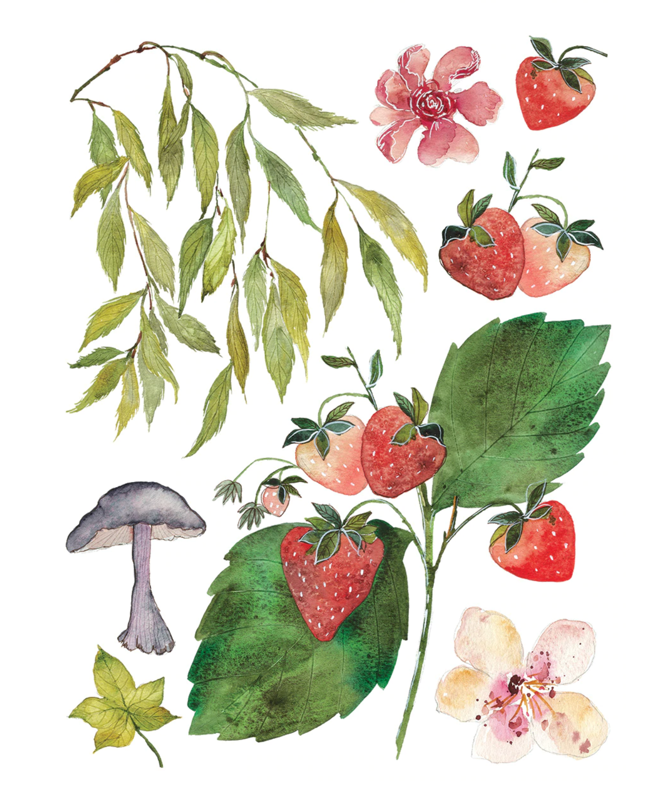 Whispering Willow | IOD Transfer