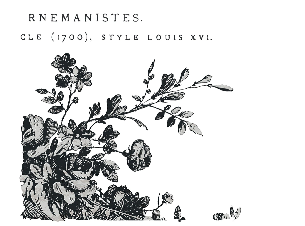 Cosette | IOD Transfer