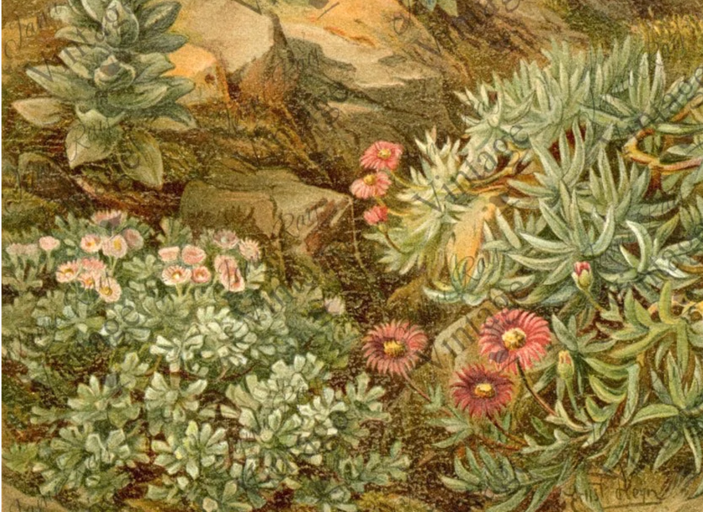 JRV Decoupage Paper click for different styles