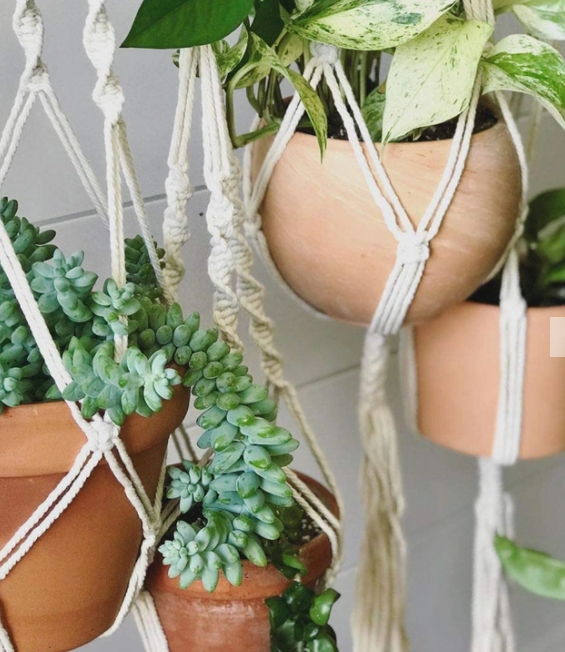Beady Macrame Plant Hangers