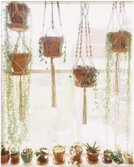 jute plant hanger diy Let's Hangout! Jute Macrame Hanger – DIY À GOGO