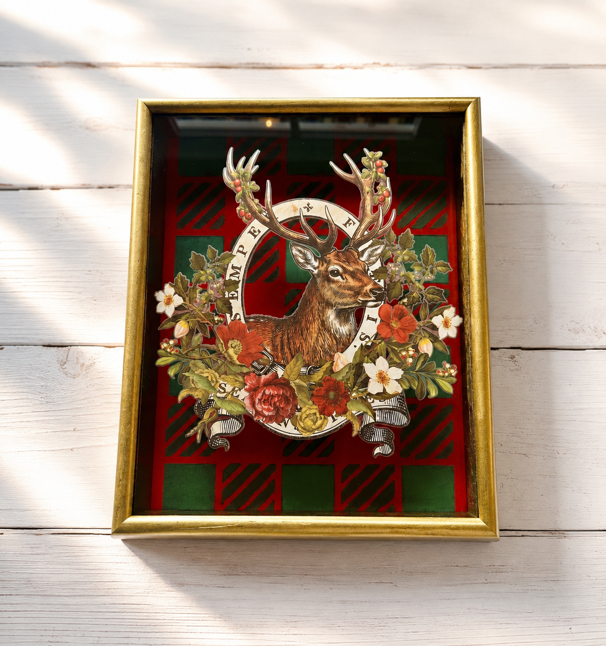 Shadow Box Frame of a Stag