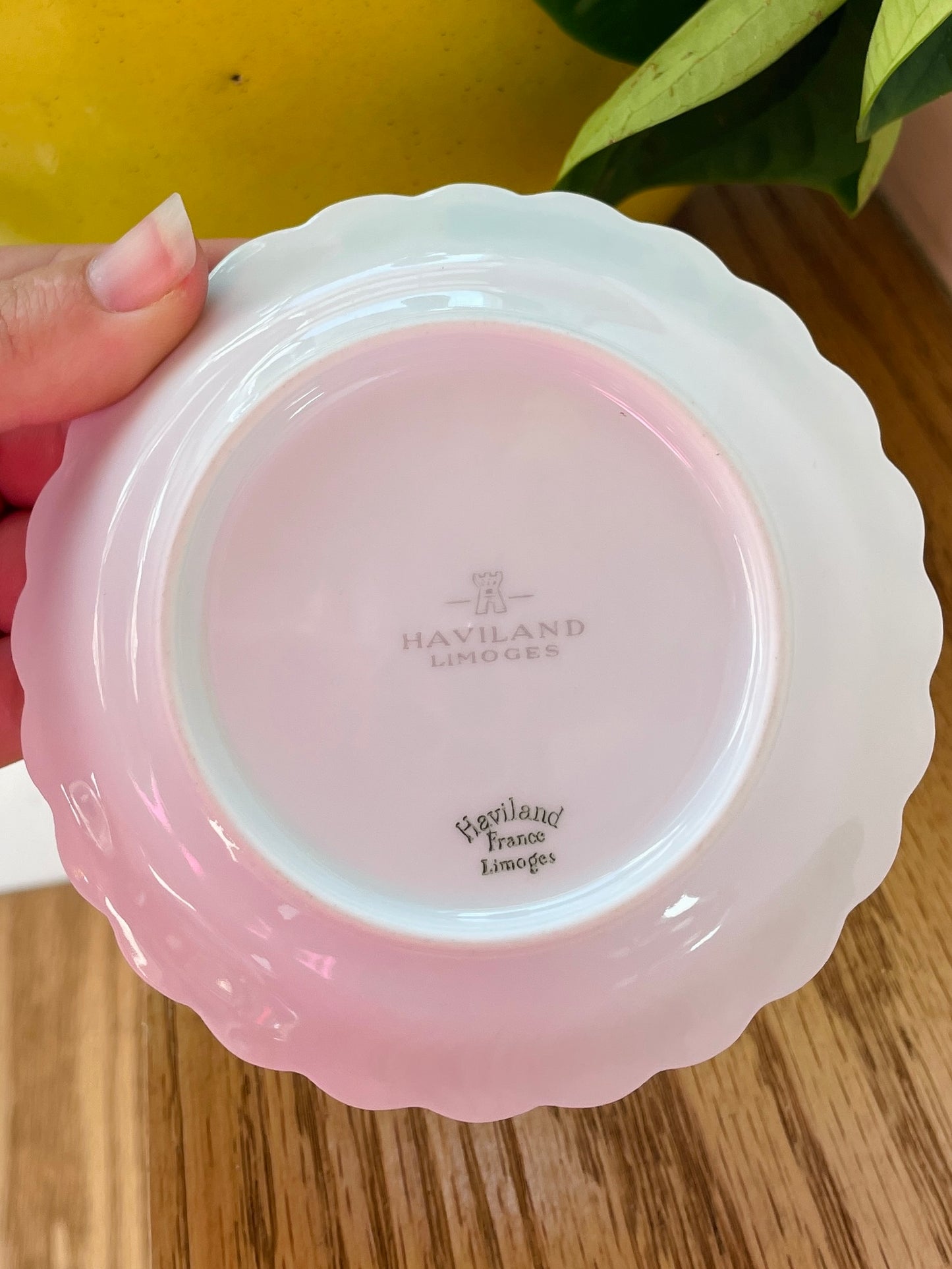 Limoges Handprinted Dish