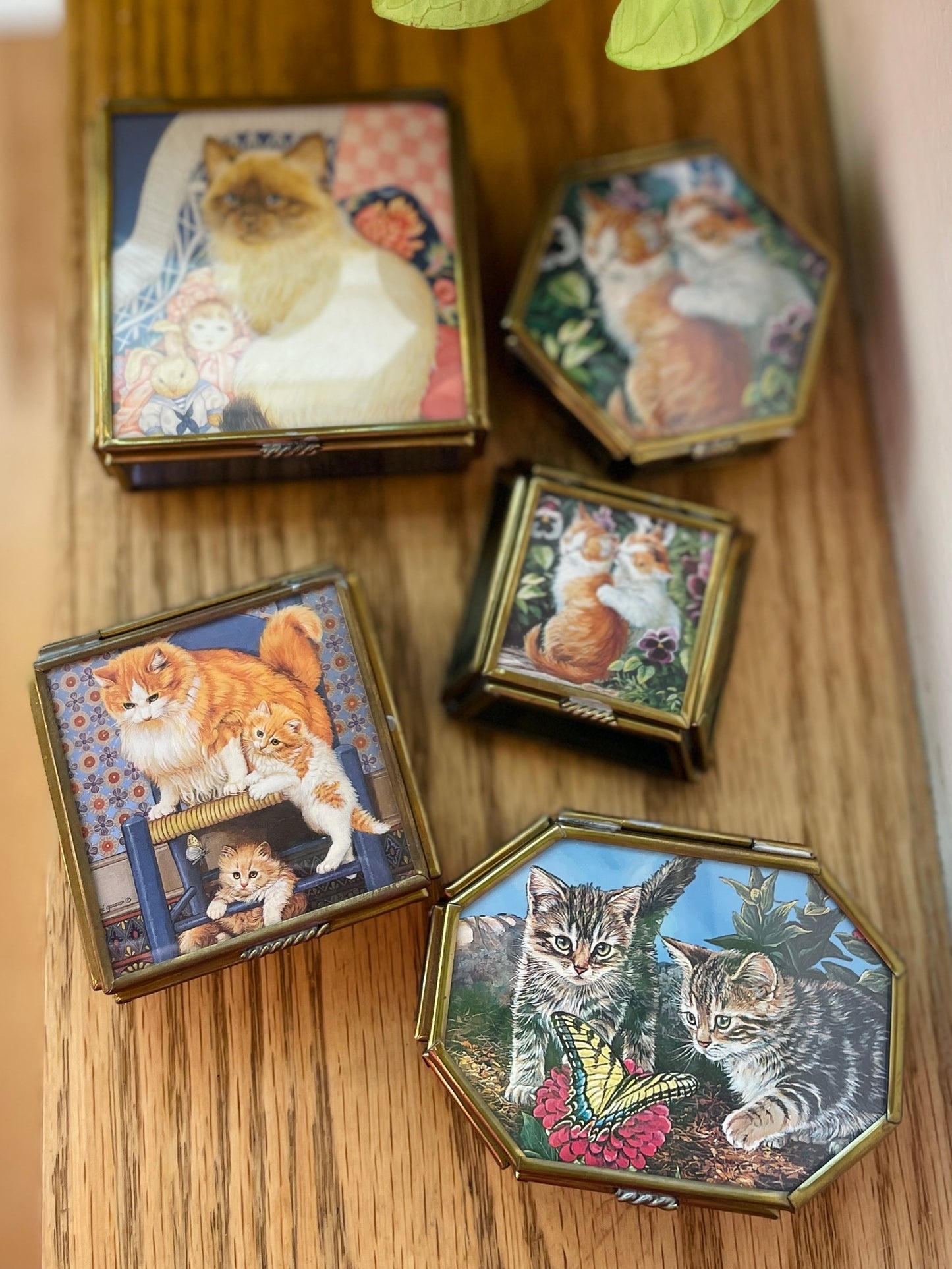Vintage Cat Boxes