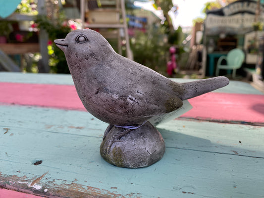 Garden Bird