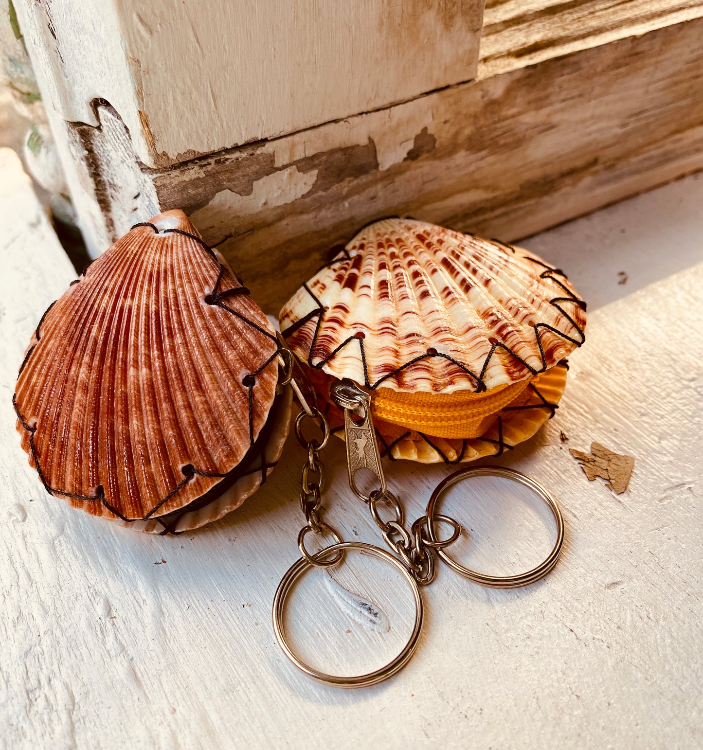 Tiny Shell Key Chain