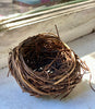 Bird's Nest