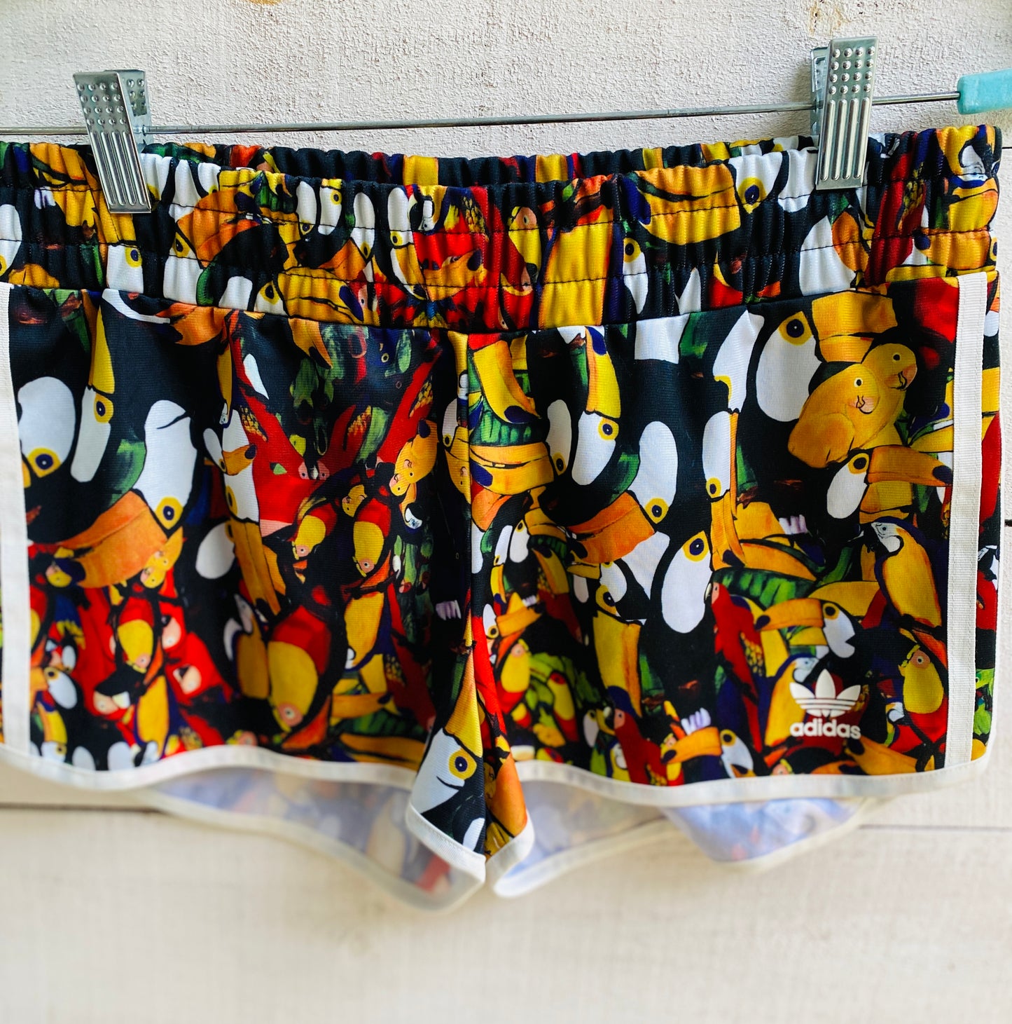 Toco Toucan Shorts