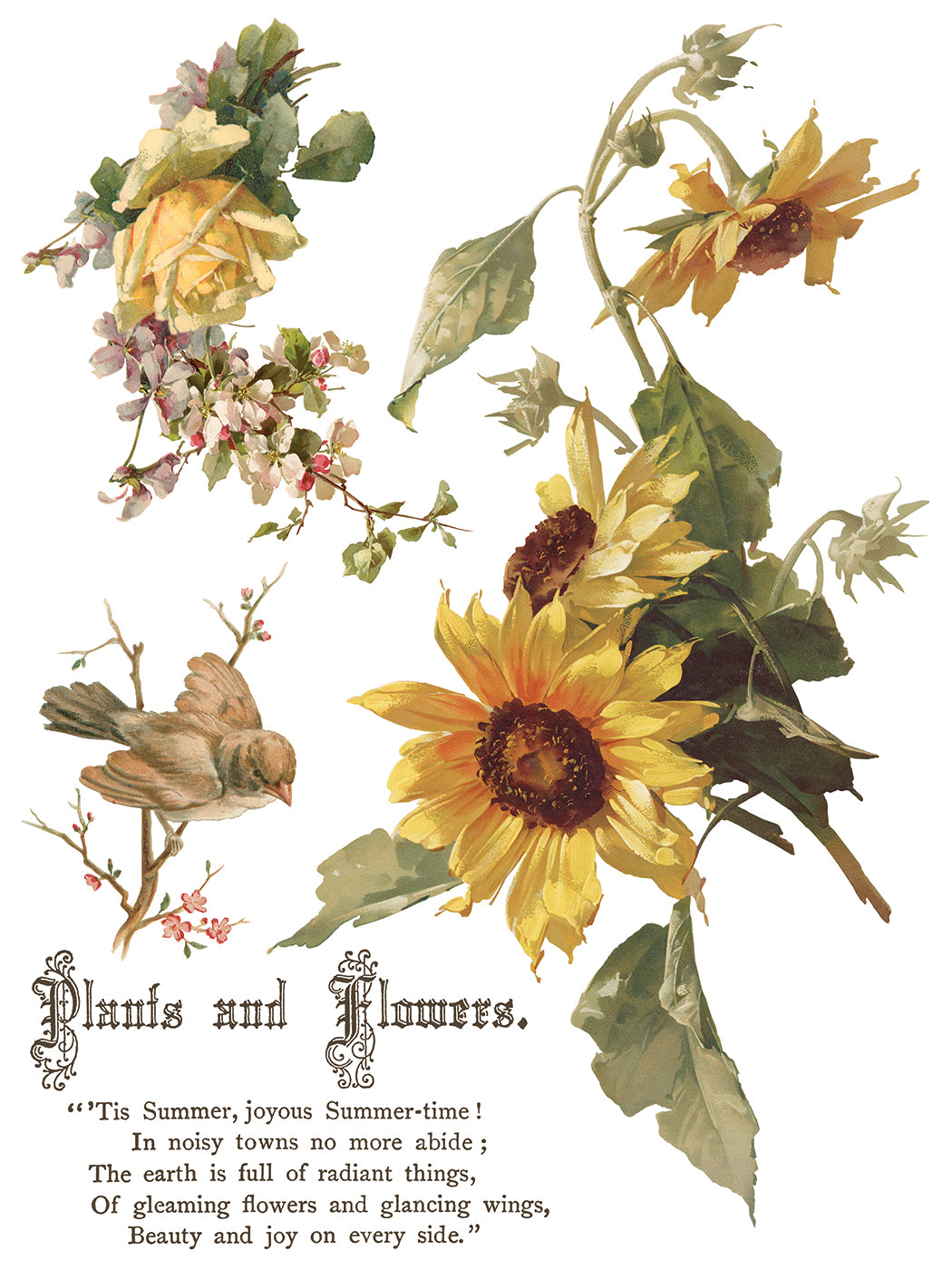 FLOWERS BY THE POETS IOD TRANSFER 12X16 PAD™