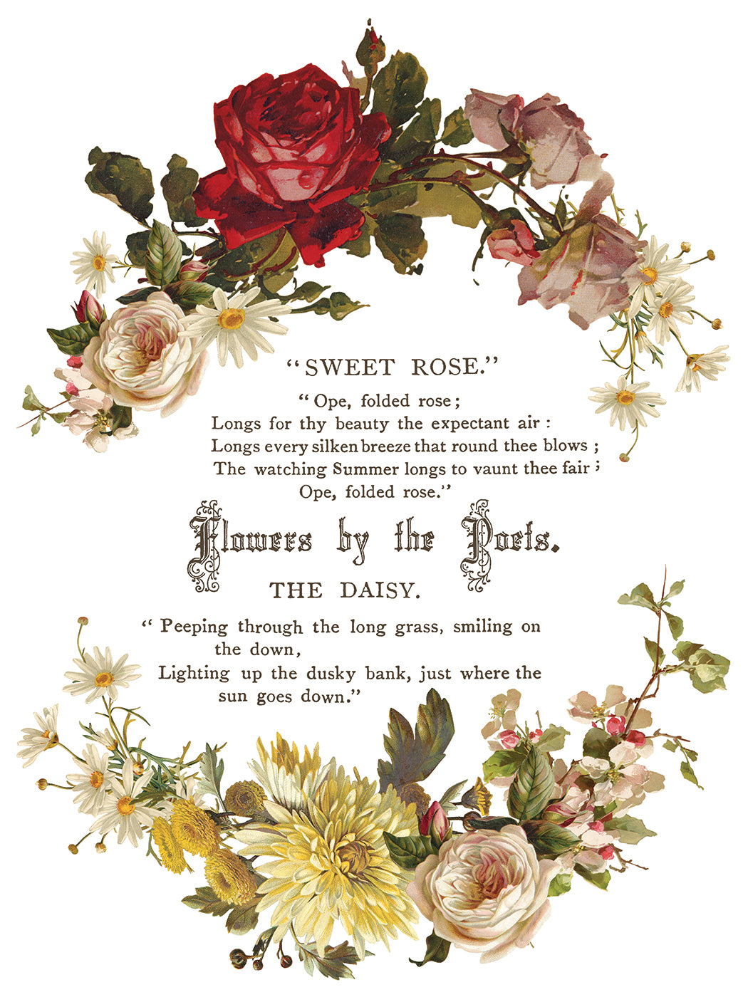 FLOWERS BY THE POETS IOD TRANSFER 12X16 PAD™