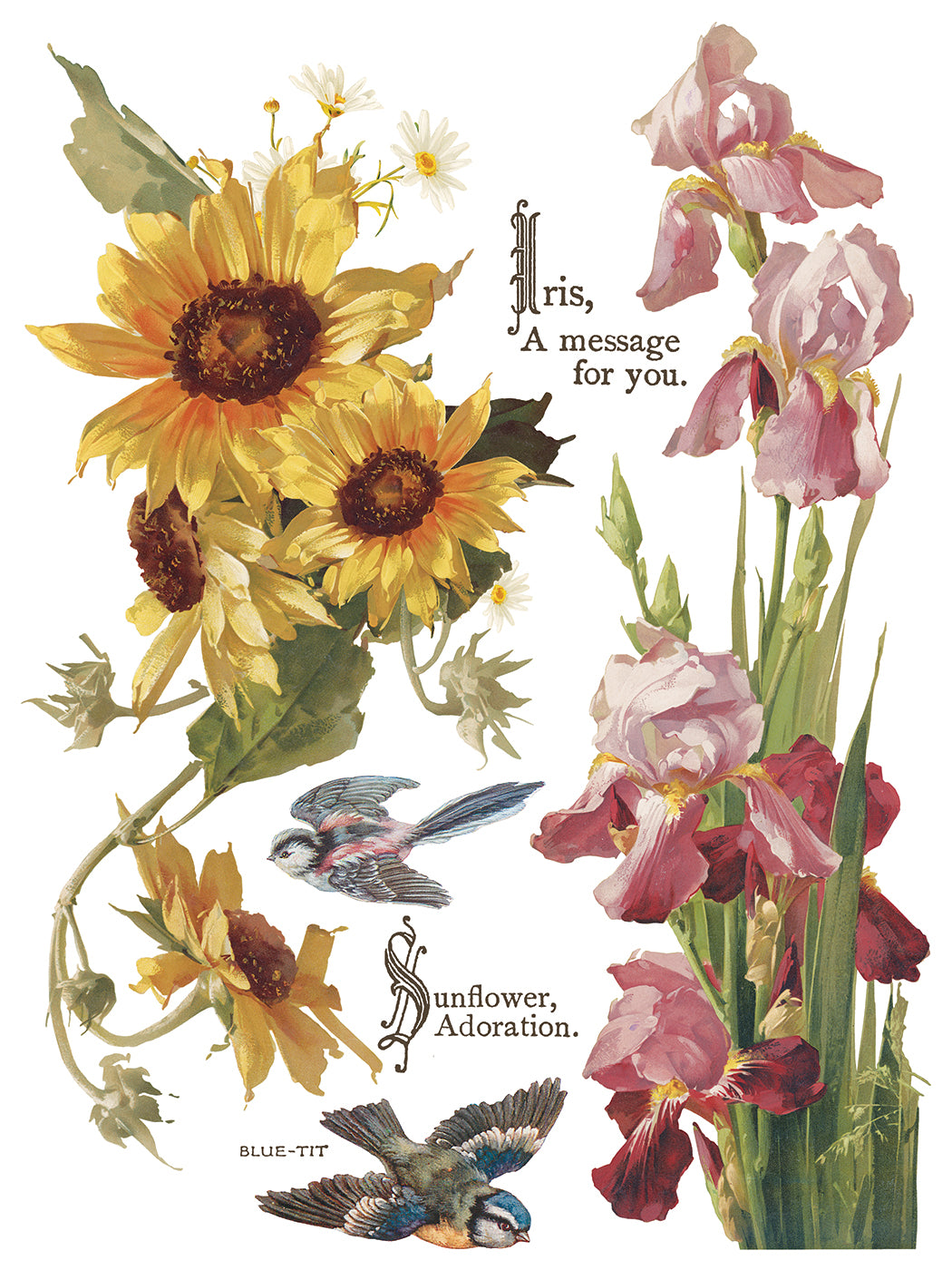 FLOWERS BY THE POETS IOD TRANSFER 12X16 PAD™