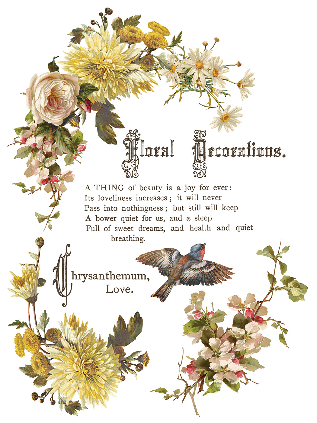 FLOWERS BY THE POETS IOD TRANSFER 12X16 PAD™