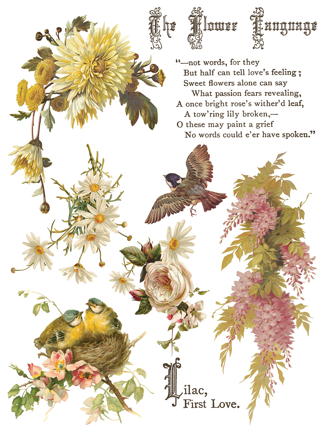 FLOWERS BY THE POETS IOD TRANSFER 12X16 PAD™